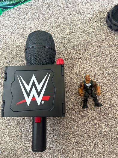 WWE Microphone