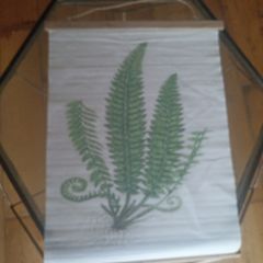 Canvas & Wood Holly Fern Print
