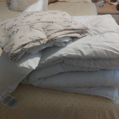 Two Duvet single bed, pillows and two cover sheets