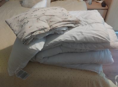 Two Duvet single bed, pillows and two cover sheets