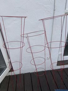 Tomato trellises (3)
