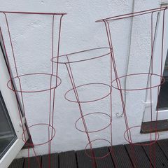 Tomato trellises (3)