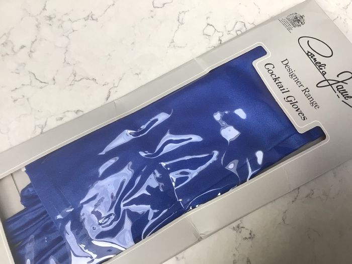 Pair of Cornelia James Long Cocktail Gloves