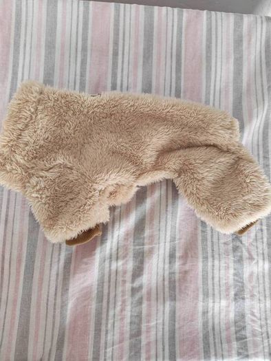dog jacket