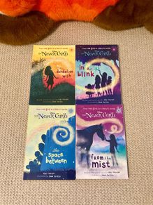 The Never Girls book bundle