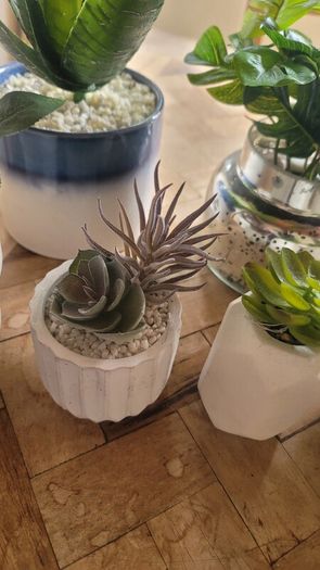 Artificial Plants in Ceramic, Glass, Stone & PVC Pots x8