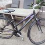 lady bike for sale Image 2