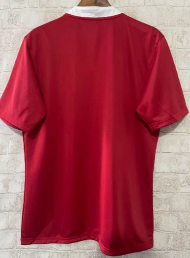 British Irish Lions Rugby jersey