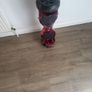 Hoverboard Image 2