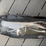 Audi A4 xenon head light Image 2