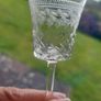Rare Set of Six Antique Edwardian High Quality Hand-Blown, Hand-Etched and Hand-Cut Bohemian Glass Liqueur/Cordial Glasses, in the Original Pall Mall Lady Hamilton Pattern, Circa 1900 Image 10