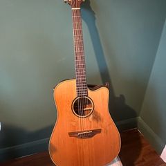 Takamine ETN10C made in Japan (2011)