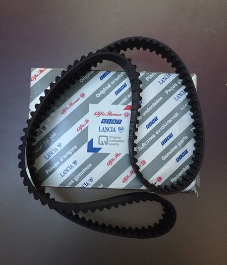 Timing Belt (Fiat Scudo)