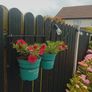 plant hangers Image 6
