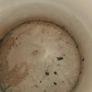 15" Early 20th Century Chinese Hand painted Cylinder Vase Image 4