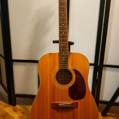 All Solid Wood Tanglewood Earth 200 SN Acoustic Guitar Made in Korea