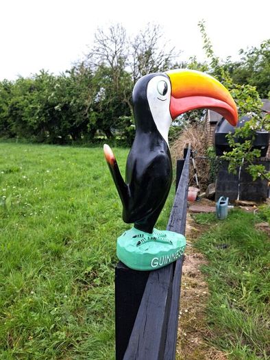 Large  Guinness  toucan