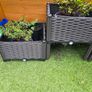 Dark brown plastic raised beds / planters 2 for 40 OR 4 for 70 Image 3