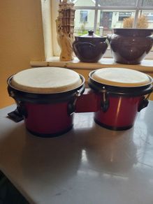 Bongo Drums