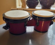 Bongo Drums