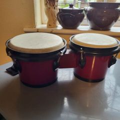 Bongo Drums