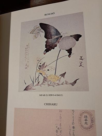 Surimono Prints by Elbow