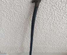 Shillelagh