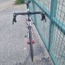 Focus Cayo Image 2