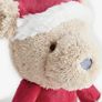 Christmas Teddy NEW Image 2