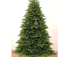 royal spruce christmas tree