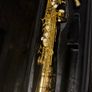 Soprano Saxophone - Trevor James Image 5