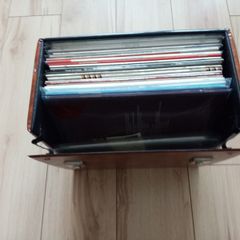 Vintage/Classic Record Collection (some Irish artists) of 24 with brown carrycase