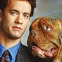 Turner and Hooch