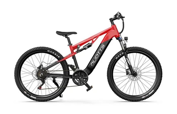 DUOTTS E29 Electric Bike