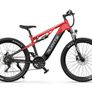 DUOTTS E29 Electric Bike Image 2