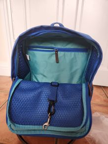 Small pet carrier