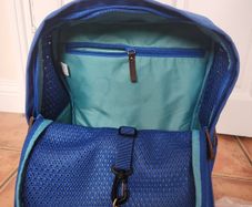 Small pet carrier