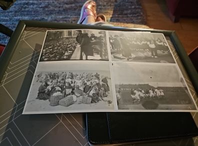 Collectors  edition postcards