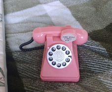 pink retro style phone money box