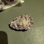 Lepidolite uv reactive Image 4