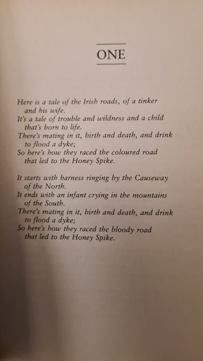 The Honey Spike. By Brian MACMAHON VINTAGE. Paperback In Good Condition.
