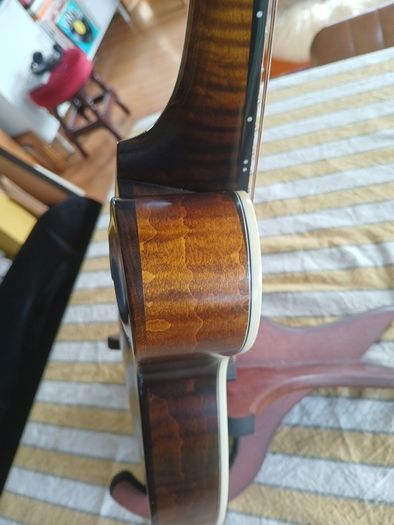 Coostar F5 Mandolin