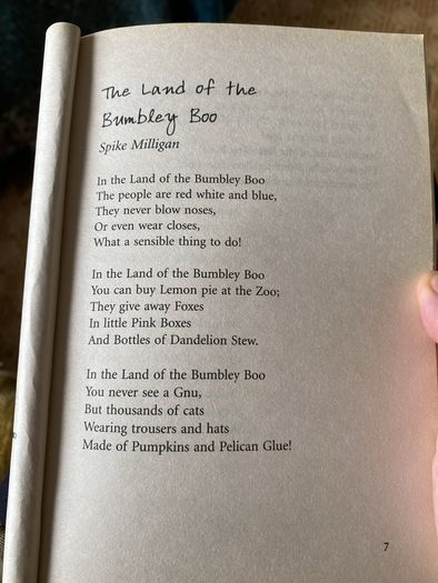 Book - The Book of Complete Nonsense