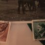 Militaria field picture card Image 2