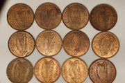 Ireland 1963 1964 1965 1966 1d Penny 12 Uncirculated Red Coin Lot
