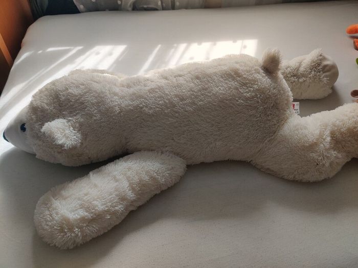 Taddy bear