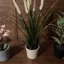 Artificial House Plants Image 4