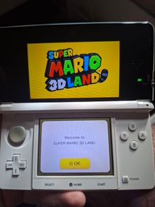 nintendo 3ds