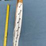 Vintage Slazenger Junior wooden racket Image 6