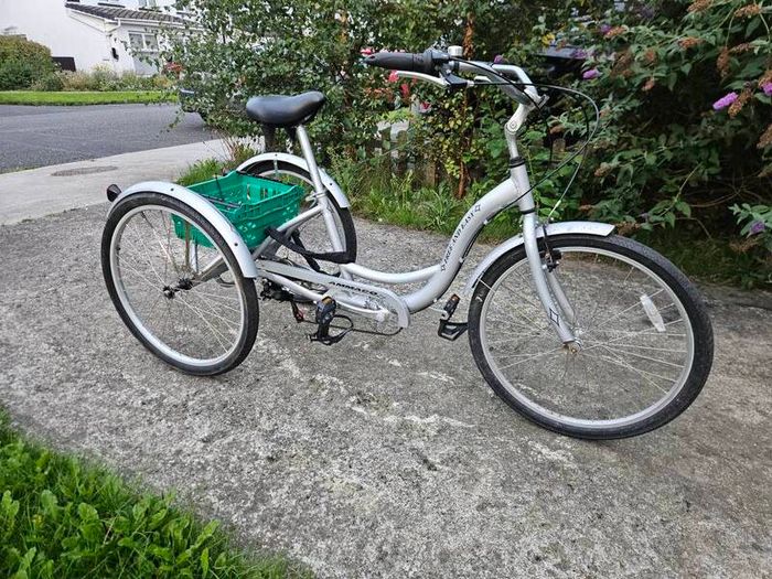 Ammacalo Free and Easy tricycle